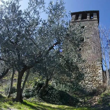 Apartment Casa Oracolo
